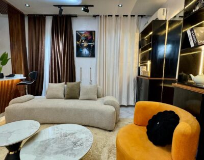 Unique 1 Bedroom  with open style kitchen and Swimming Pool | Lekki phase 1