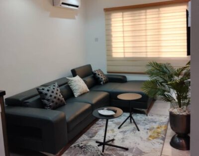 Polished 1-Bedroom with Open Kitchen Design| Lekki Phase 1 (202)