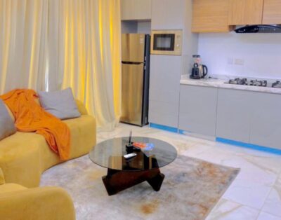 Polished 1-bedroom Apartment with open plan kitchen (Unit 4) | Lekki Phase 1